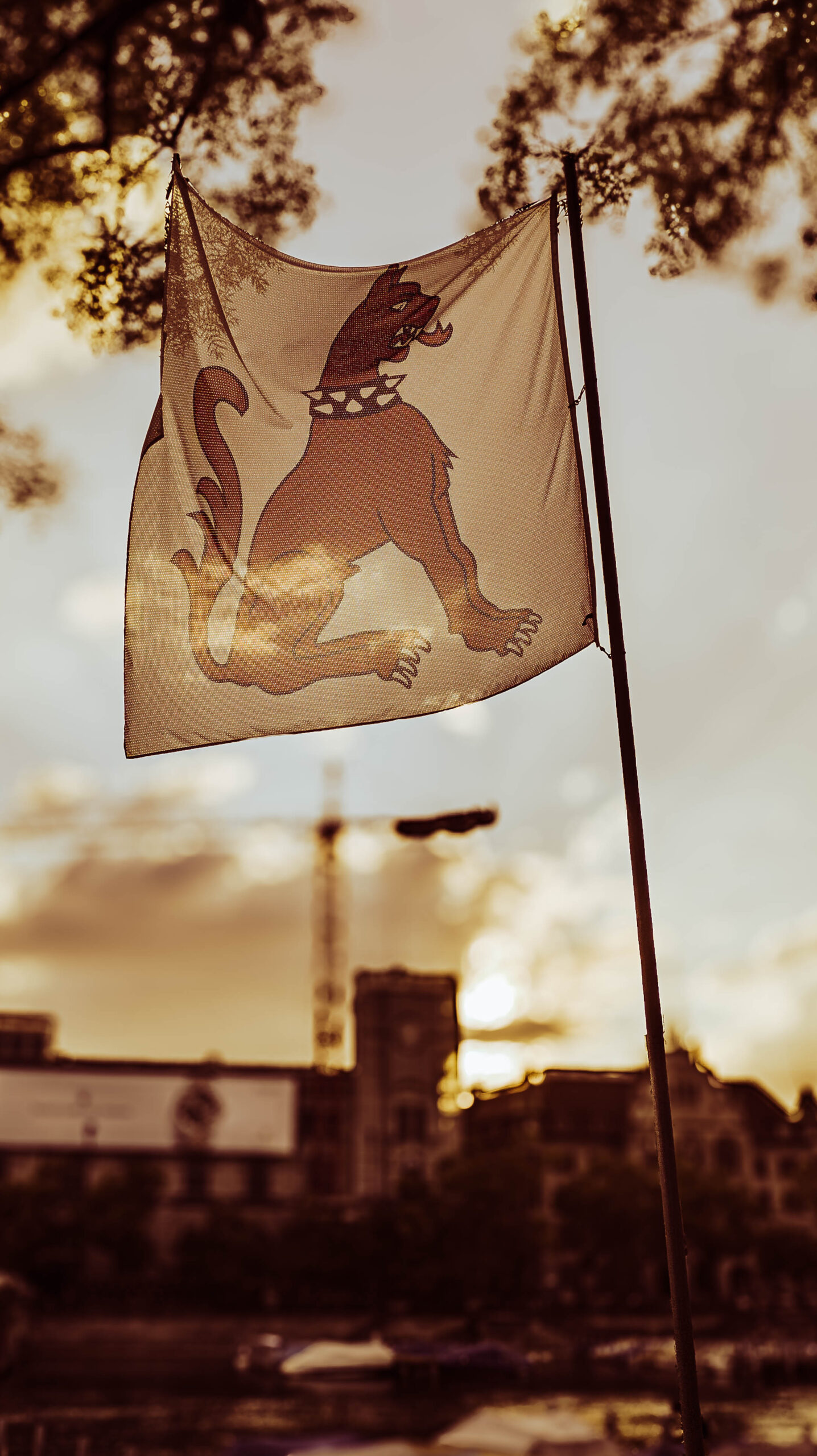 Drapeau